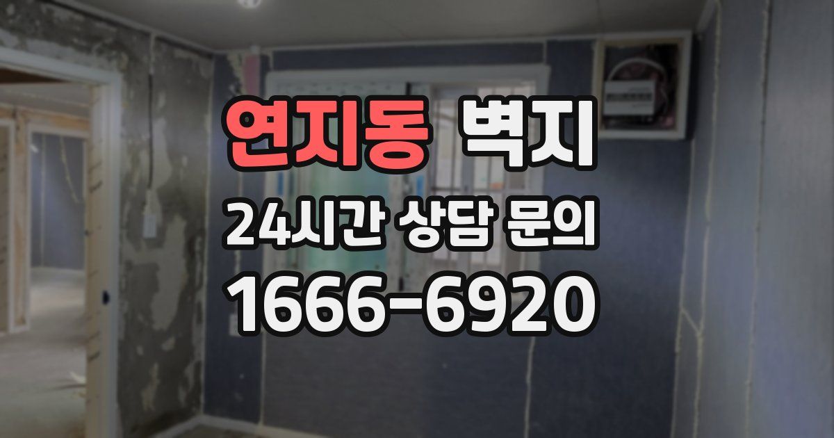 연지동 벽지