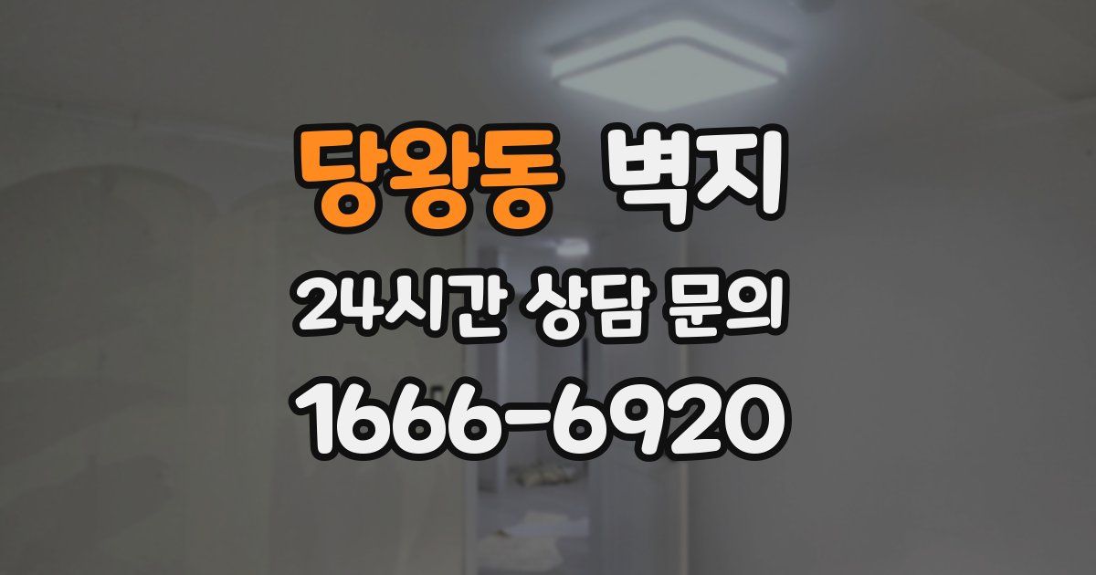 당왕동 벽지