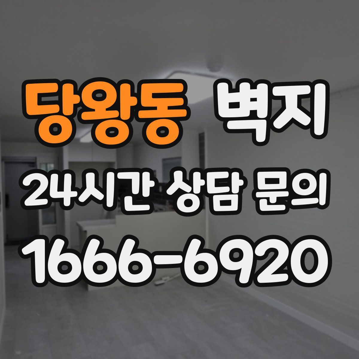 당왕동 벽지