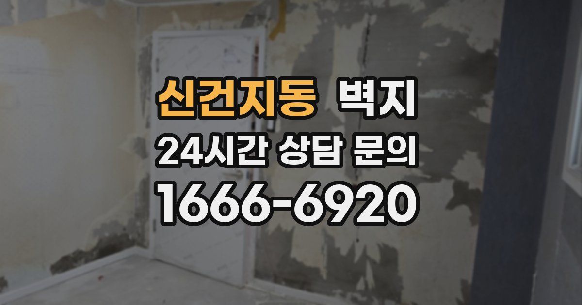 신건지동 벽지