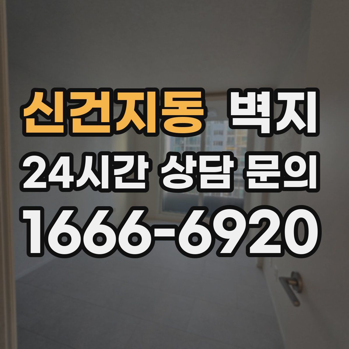 신건지동 벽지