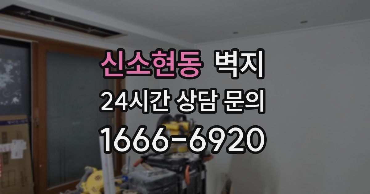 신소현동 벽지
