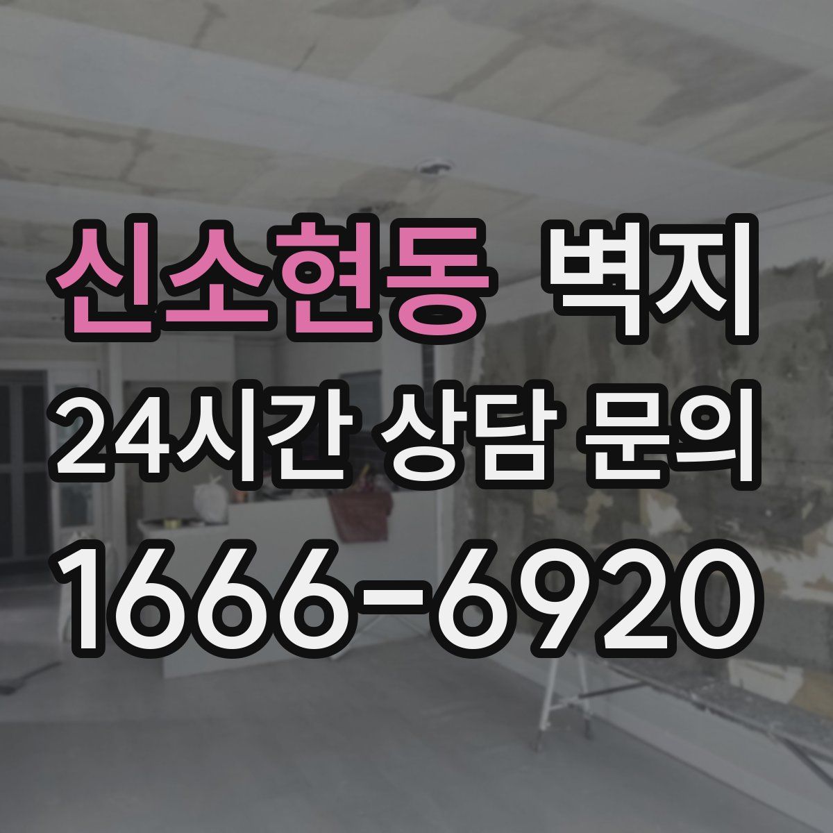 신소현동 벽지