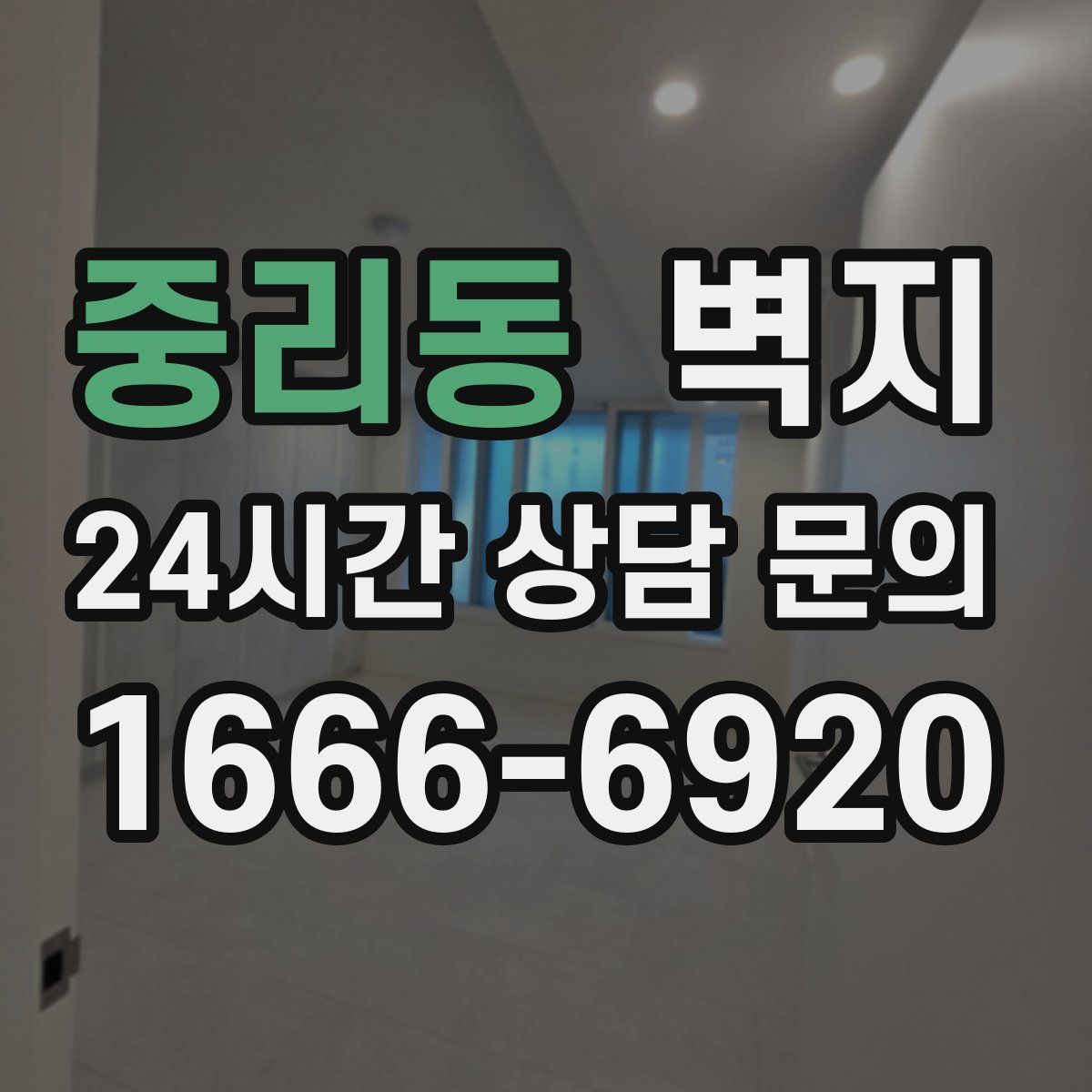중리동 벽지