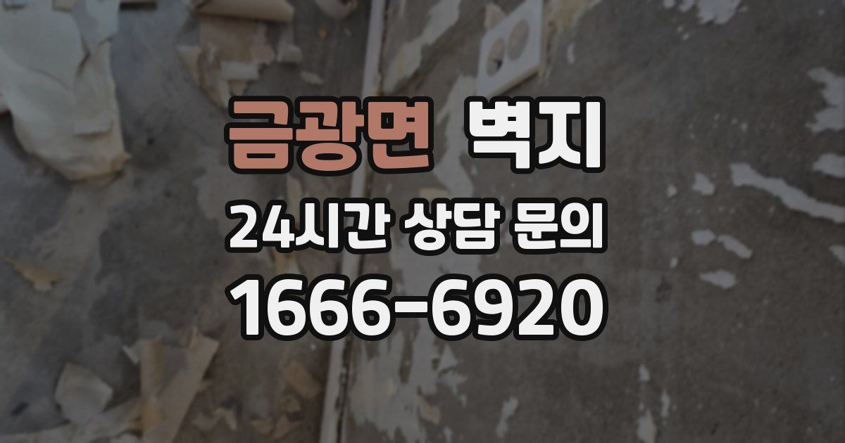 금광면 벽지