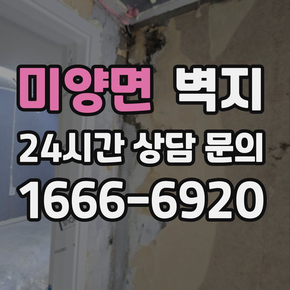 미양면 벽지