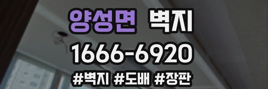 양성면 벽지
