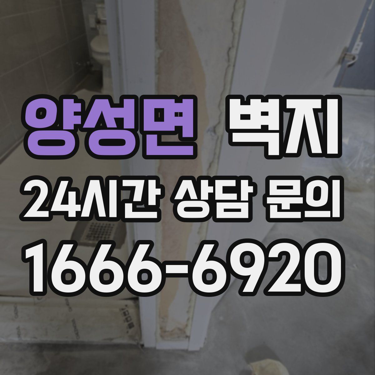 양성면 벽지