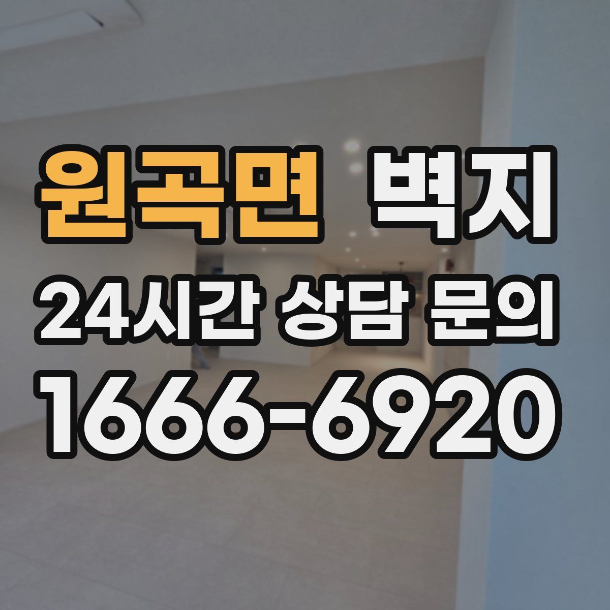 원곡면 벽지