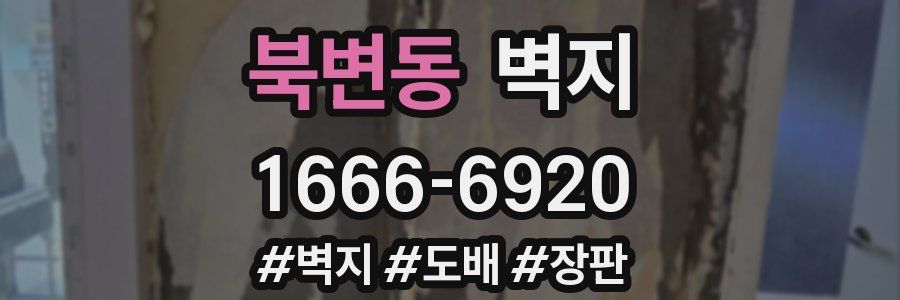북변동 벽지