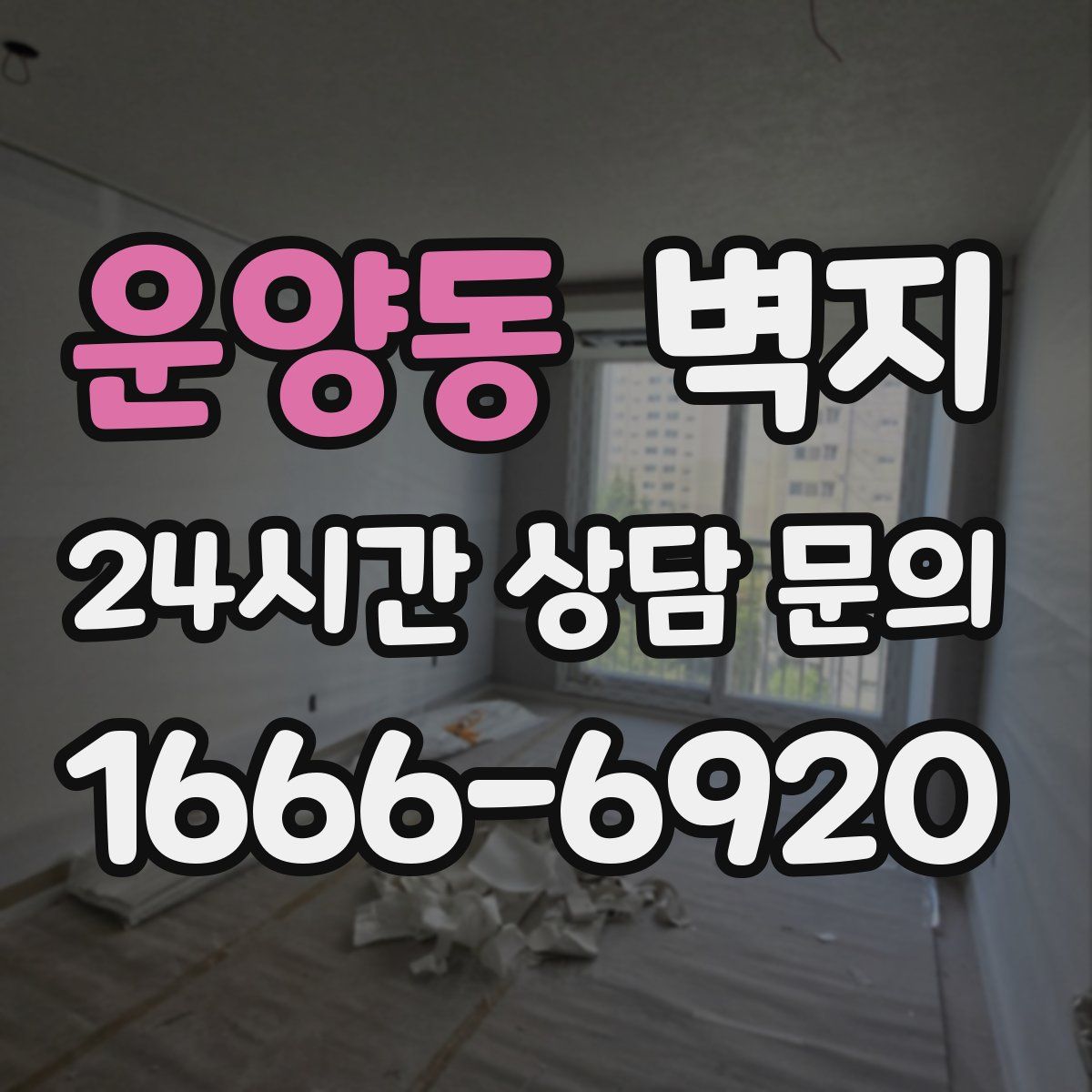 운양동 벽지