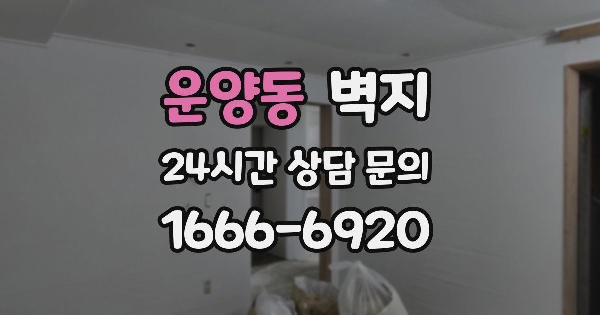 운양동 벽지