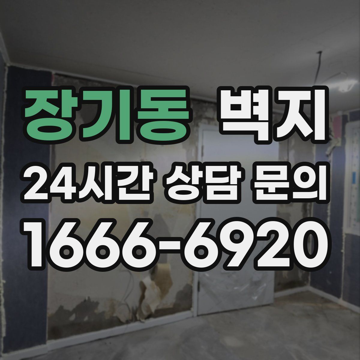 장기동 벽지