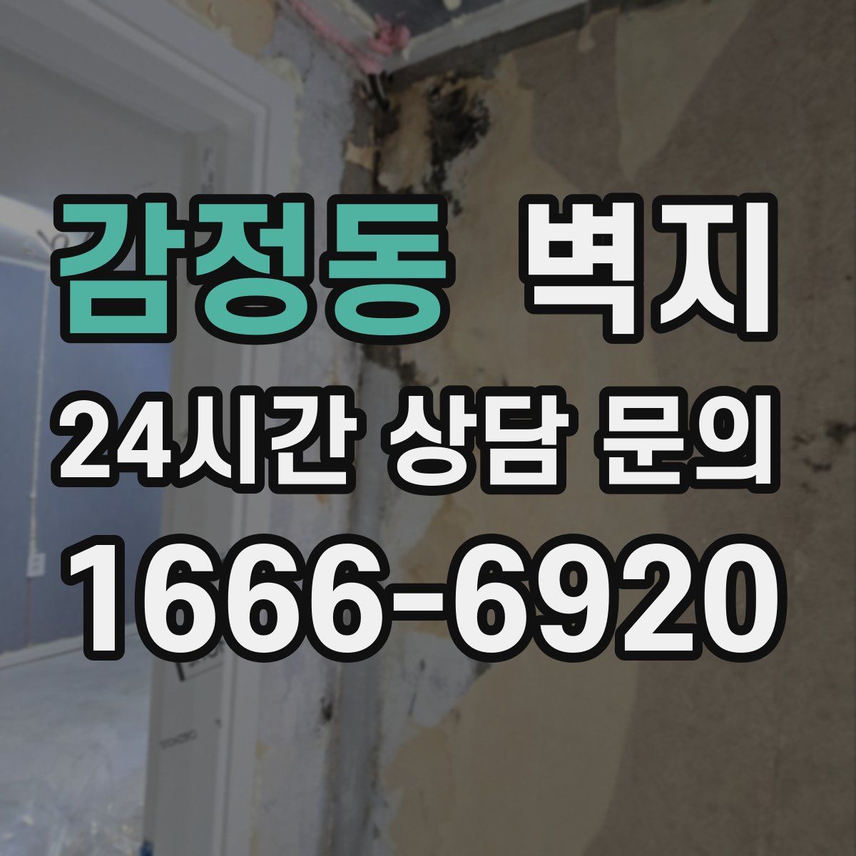 감정동 벽지