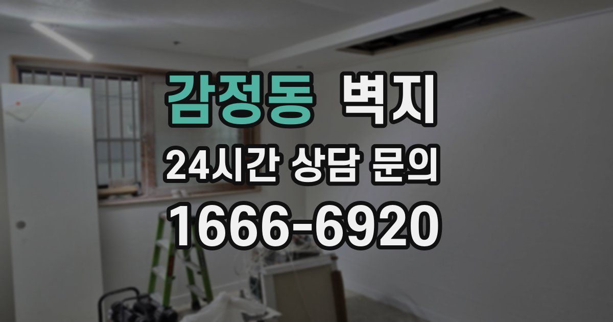 감정동 벽지
