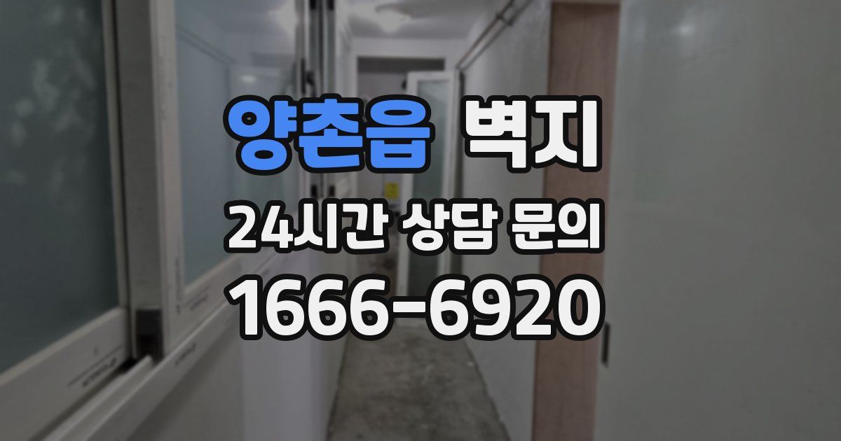 양촌읍 벽지