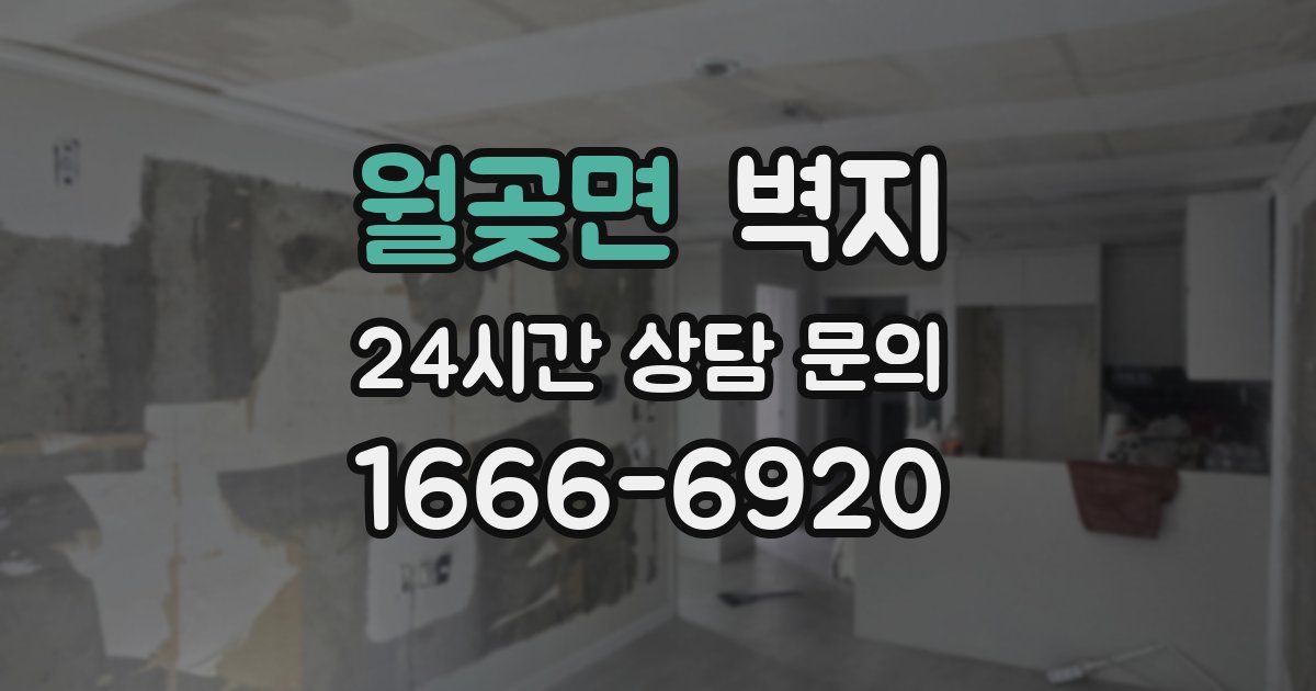 월곶면 벽지