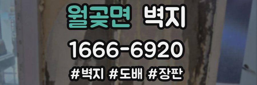 월곶면 벽지