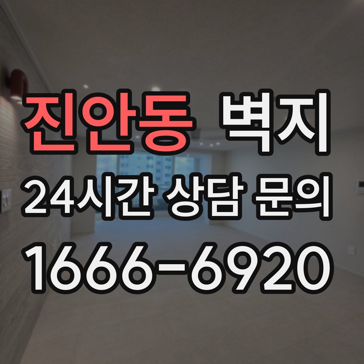 진안동 벽지