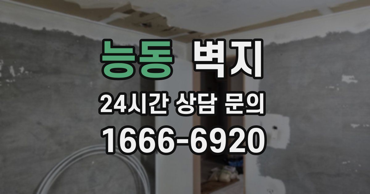 능동 벽지