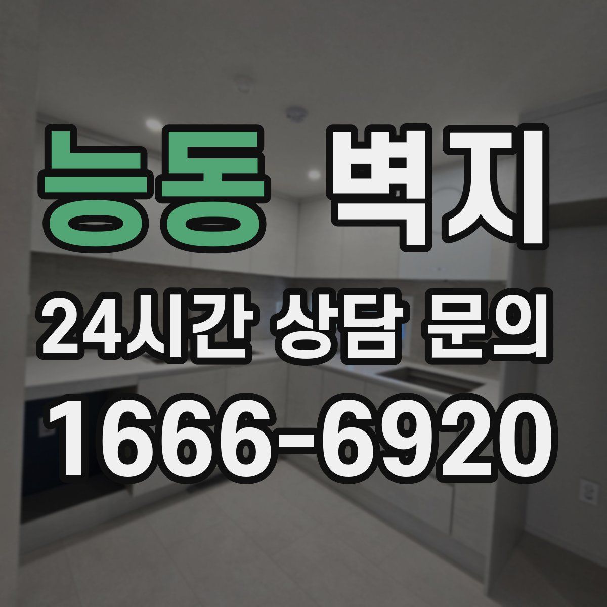능동 벽지