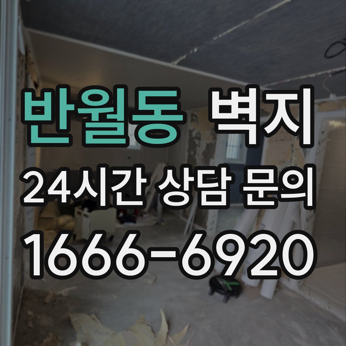반월동 벽지