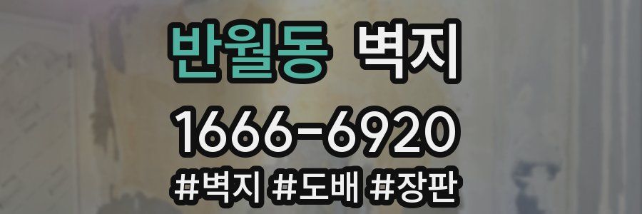 반월동 벽지