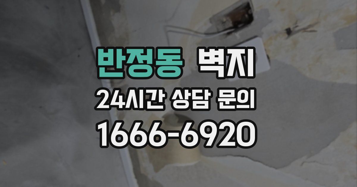 반정동 벽지