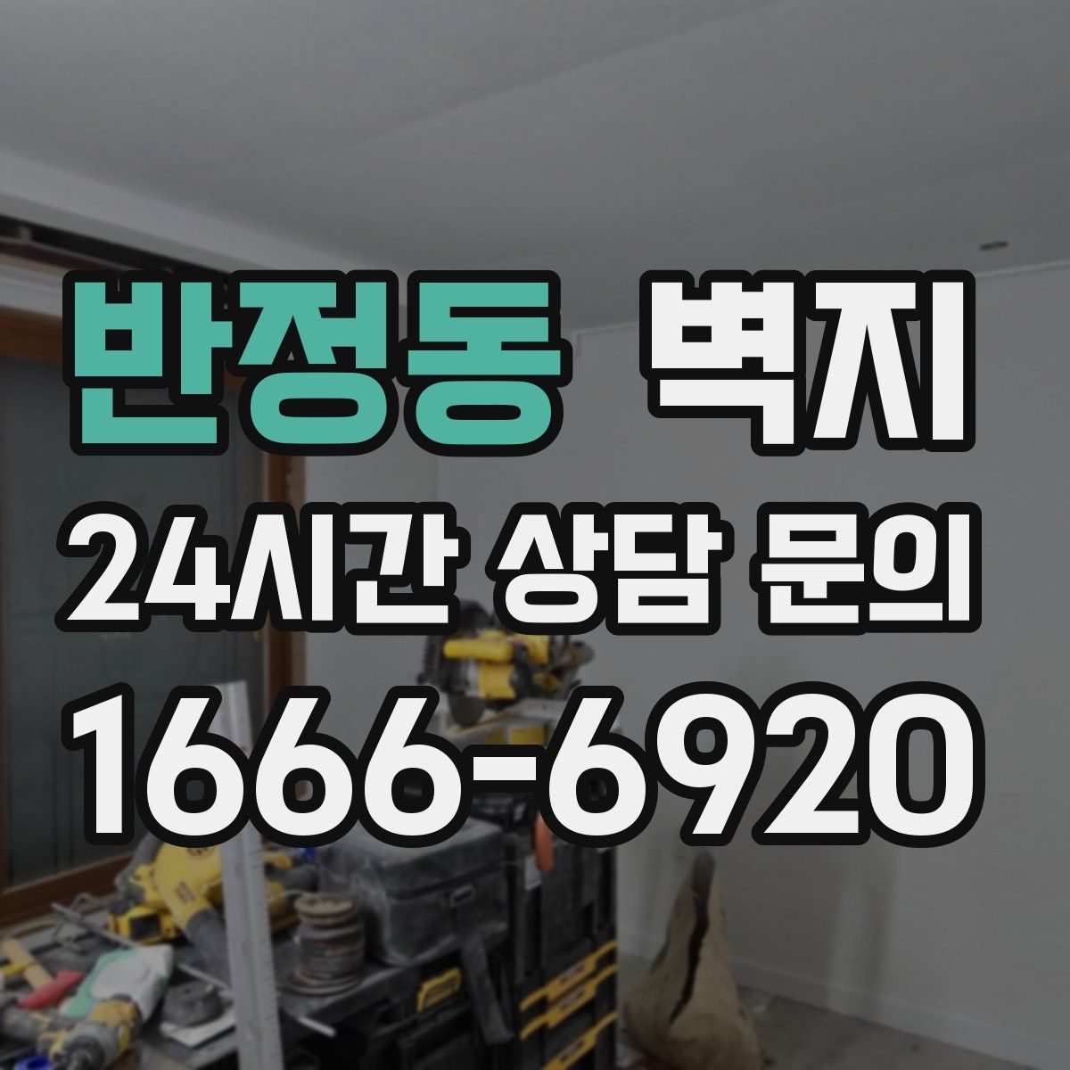 반정동 벽지