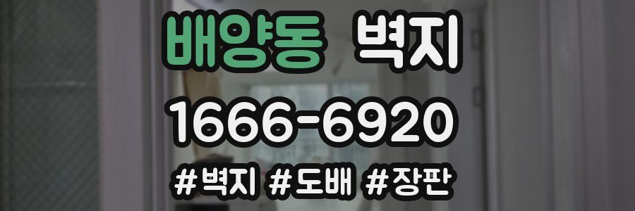 배양동 벽지