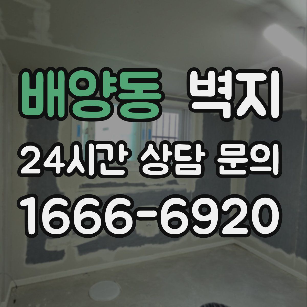 배양동 벽지