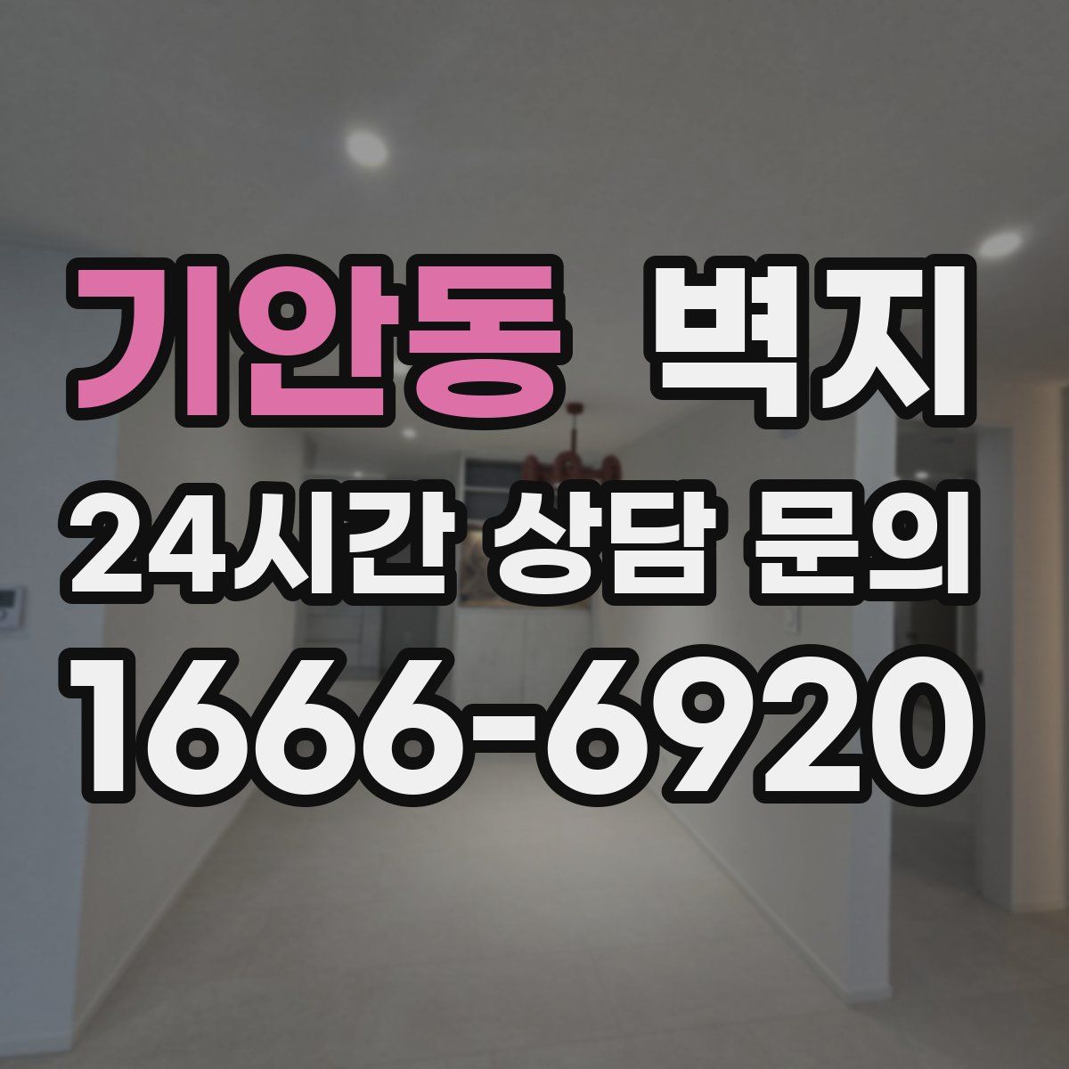 기안동 벽지