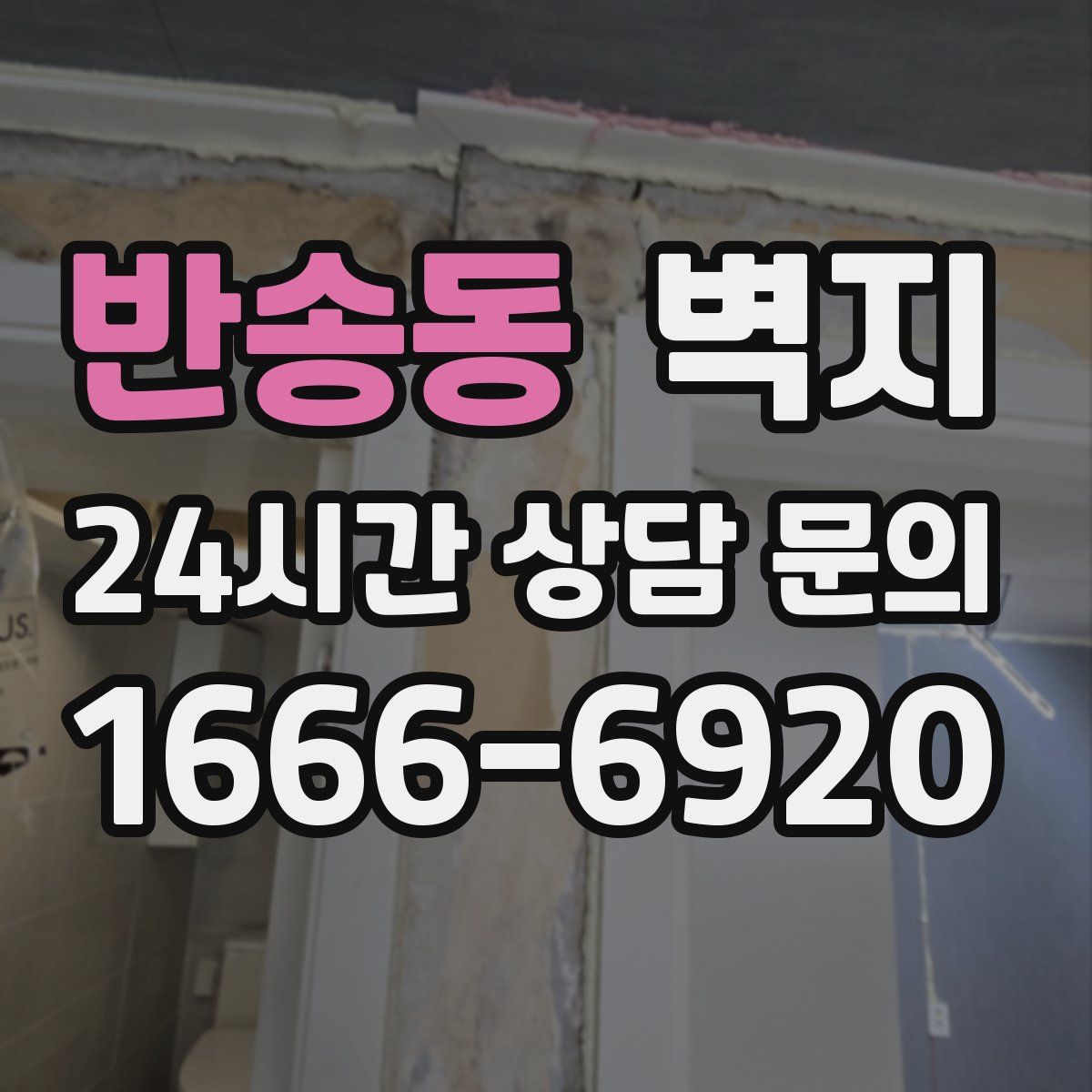 반송동 벽지