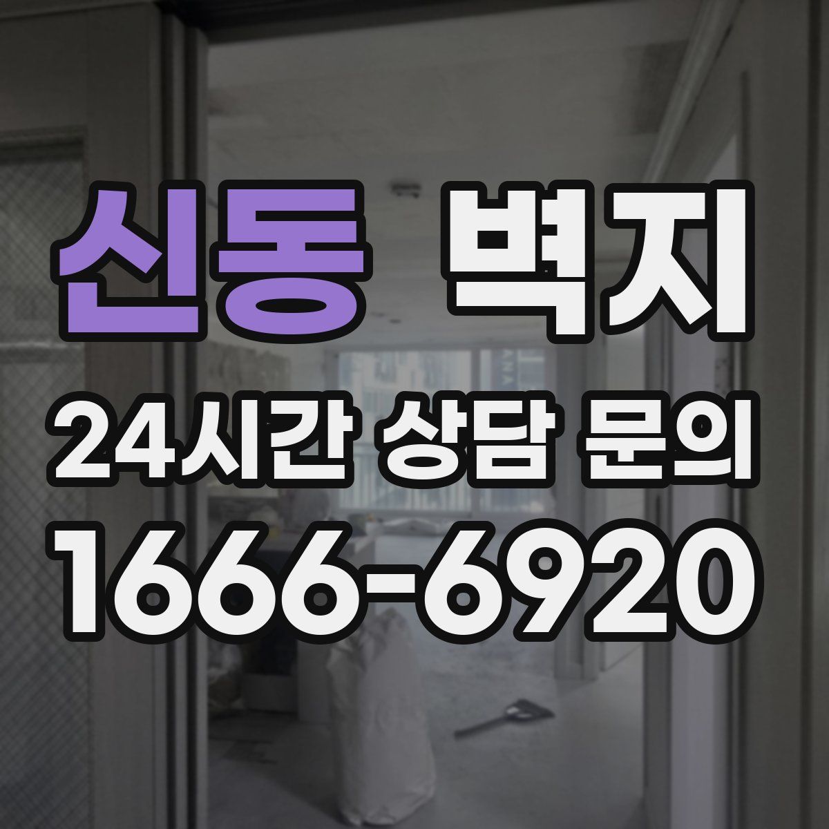 신동 벽지