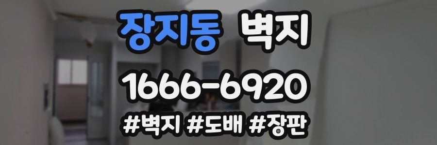 장지동 벽지