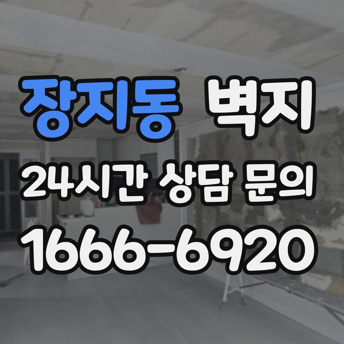 장지동 벽지