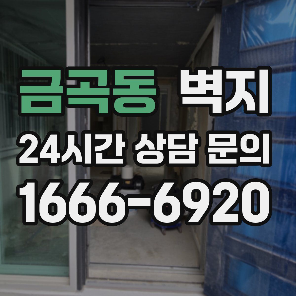 금곡동 벽지