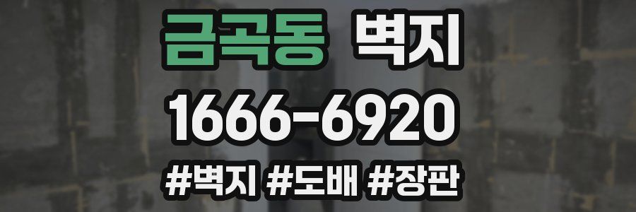 금곡동 벽지
