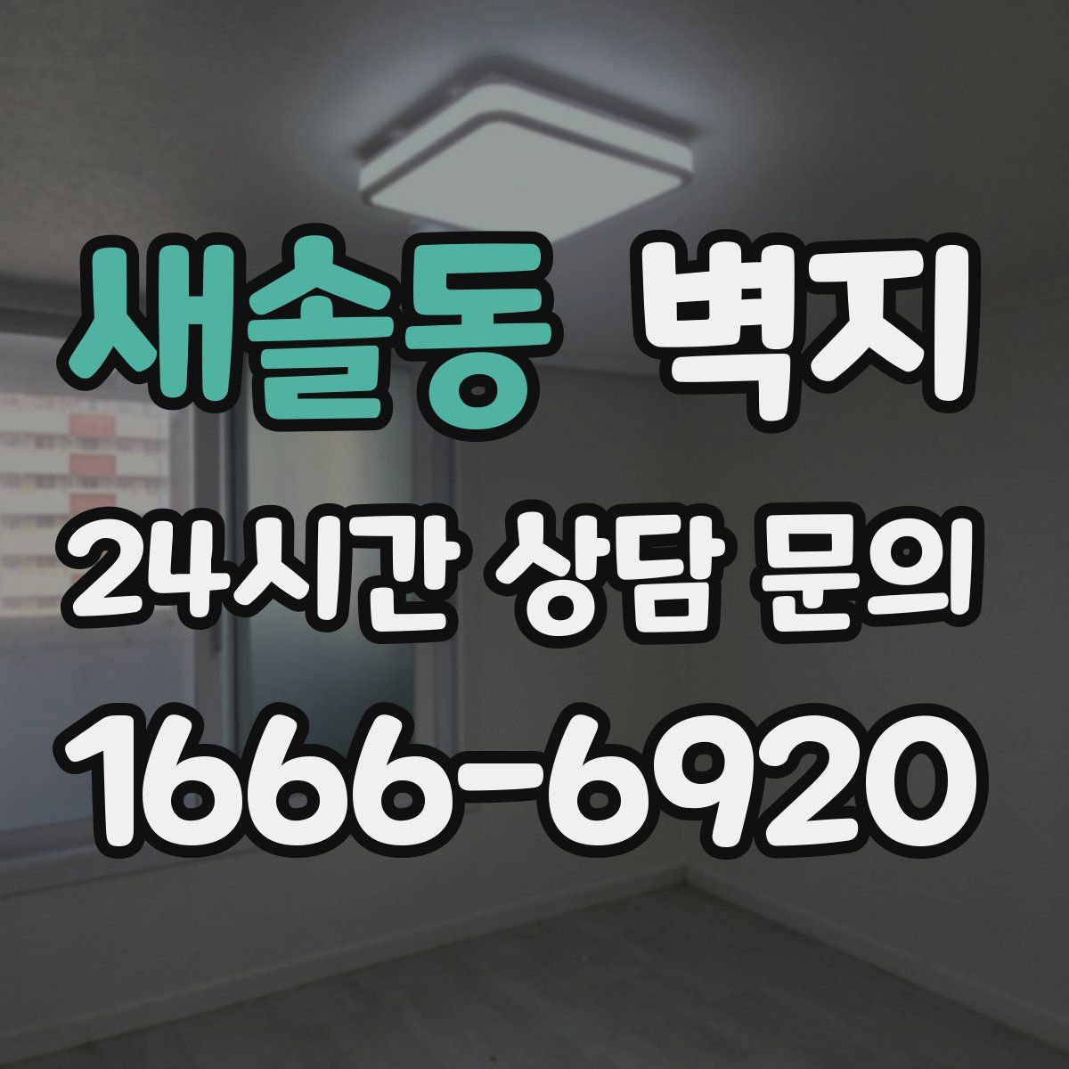 새솔동 벽지