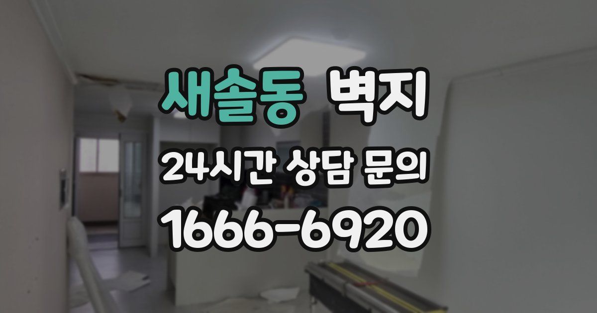 새솔동 벽지