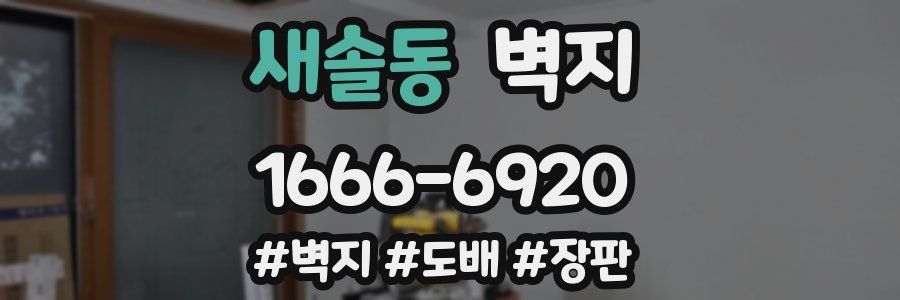 새솔동 벽지