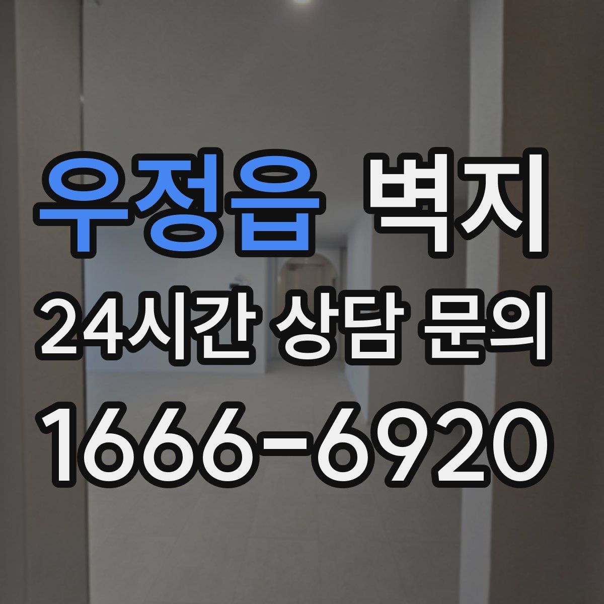 우정읍 벽지