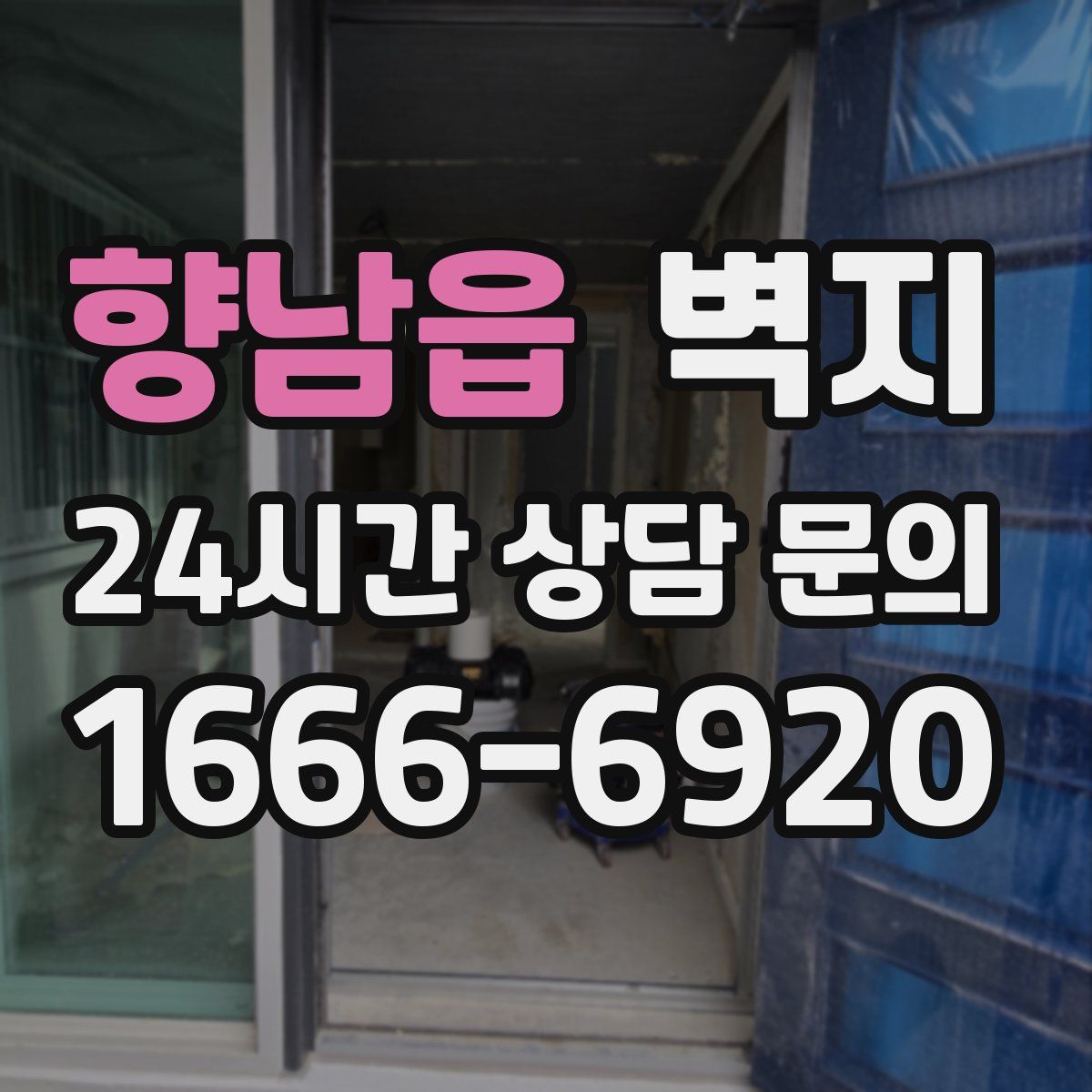 향남읍 벽지