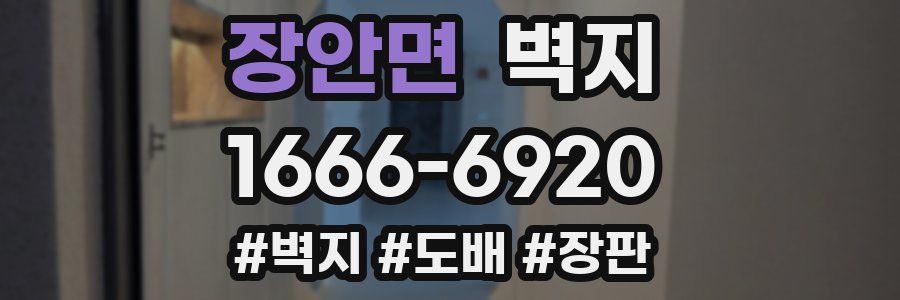 장안면 벽지