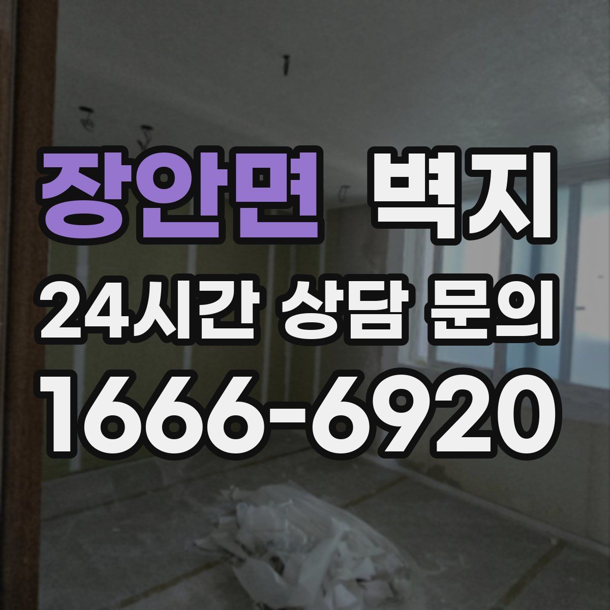 장안면 벽지