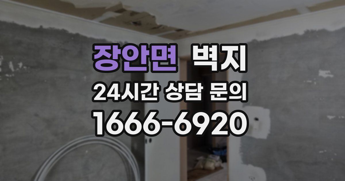 장안면 벽지