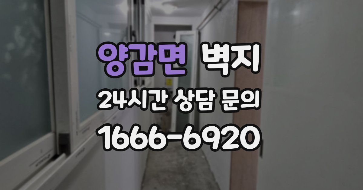 양감면 벽지