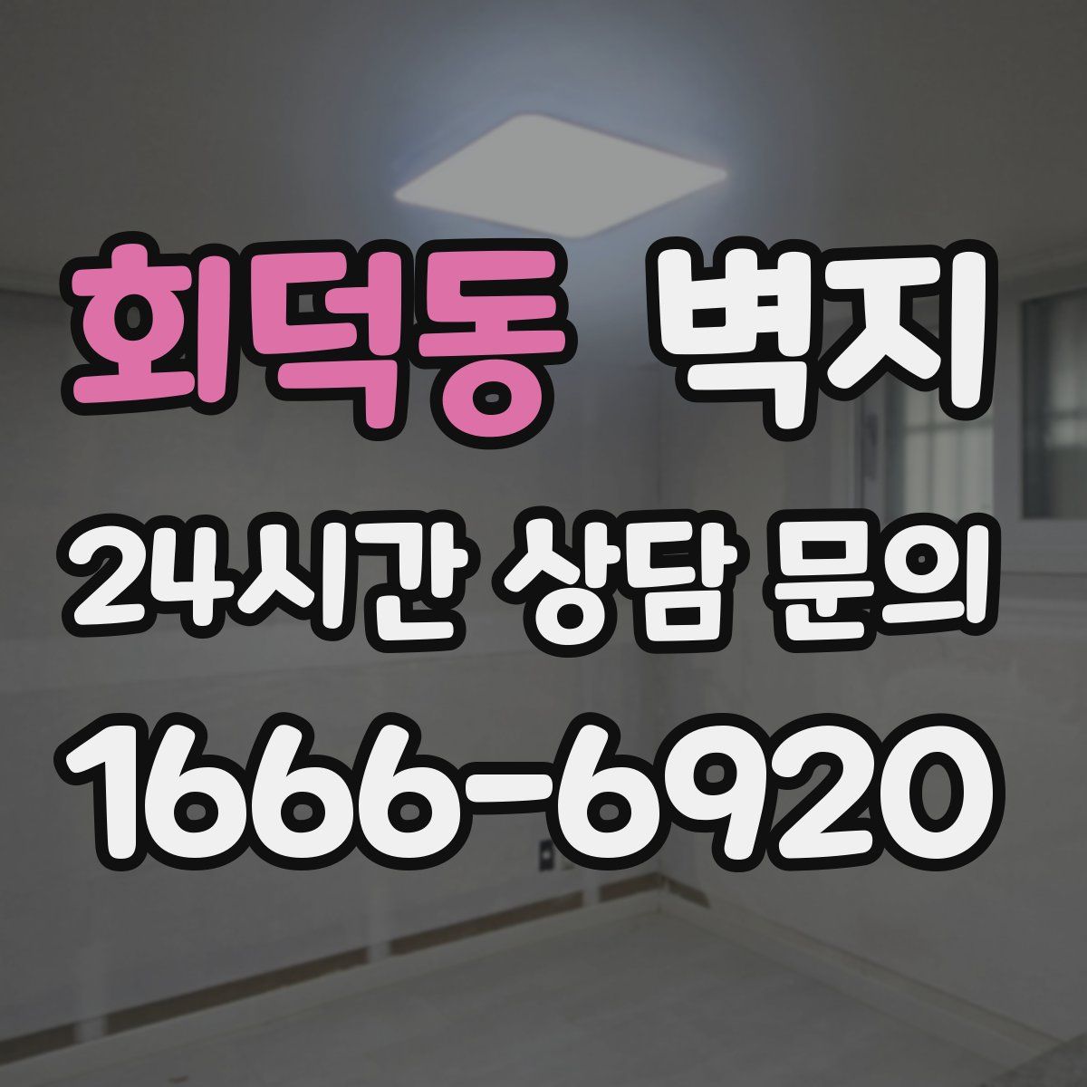 회덕동 벽지