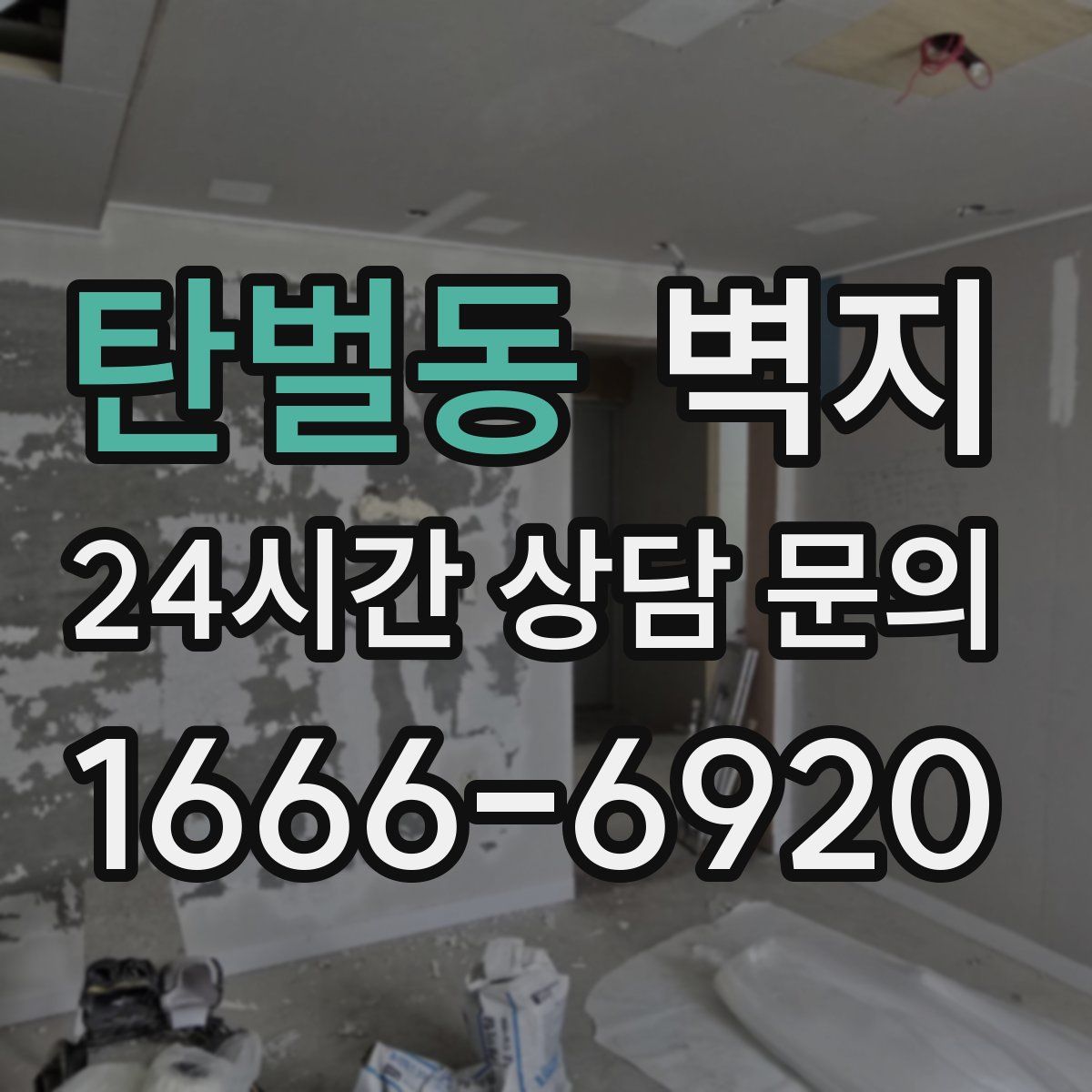 탄벌동 벽지
