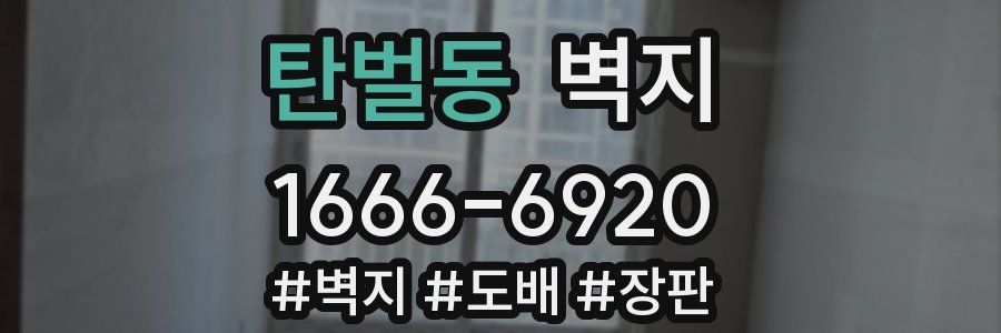 탄벌동 벽지